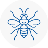 Cleethorpes Hornet Nest Removals