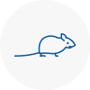 Mice Exterminators In Cleethorpes