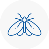 Moth Control Specialists In Cleethorpes