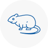 Rat Control Cleethorpes