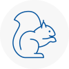 Cleethorpes Rodent Removals